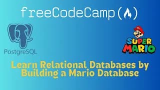 learn dbms by buillding mario db